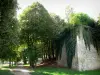 フィスムス - 街の壁と木陰の並木道私道