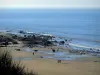 フラワーコースト - 歩行者、岩、海を持つサンディービーチ（チャンネル）