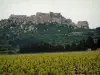 ボー＝ド＝プロヴァンス - ブドウ畑（ボールドプロヴァンスのブドウ畑）を支配するLes Baux（城塞の遺跡）の城とAlpillesの石灰質の鎖