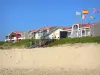 ミミザンプラージュ - 砂浜、旗、海辺のリゾート地の海岸沿いのファサード