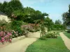 ラバル - ペリーヌの庭のバラ園の花を散歩。バックグラウンドでダンジョンデュヴューシャトー