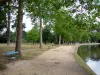 ヴァンセンヌの木 - ベンチに囲まれた湖のほとりを歩く