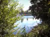 印象派の島 - 並木道のセーヌ川の眺め