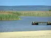 土地の風景 - BiscarrosseとParentisの池の葦床の眺めを持つParentis-en-Bornの砂浜