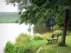 土地の風景 - Soustons池の端のベンチと木