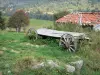 地域自然公園Livradois-Forez - 牧草地の古いカート