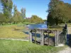 坦莱城堡 - 城堡公园：绿树成荫的大运河