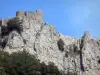 城堡Peyrepertuse - Cathar堡垒在它的岩石海角栖息
