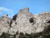 城堡Peyrepertuse - 堡垒栖息在它的岩石海角上