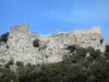 城堡Peyrepertuse - 堡垒栖息在它的岩石海角上