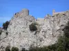 城堡Peyrepertuse - Cathar堡垒在它的岩石海角栖息
