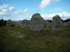 巨石 - 卡纳克巨石的排列：抬起的石头对齐