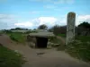 巨石 - 冢
