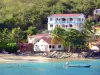 杜福湾 - 俯瞰Dufour Cove沙滩和加勒比海的房子