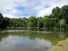 格鲁奇城堡 - 树木环绕的池塘