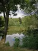 格鲁奇城堡 - 树木繁茂的池塘