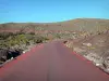火山路 - 火山森林公路通往岩钉de la Fournaise