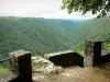画家的岩石遗址 - 从Peintre岩石的观点的Cère绿色峡谷的全景