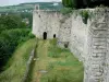 蒂耶里堡 - 城堡的城墙