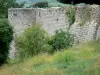 蒂耶里堡 - 城堡的城墙