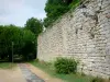 蒂耶里堡 - 老城堡：Thibaud塔（保留）