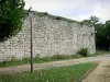 蒂耶里堡 - 老城堡：Thibaud塔（保留）