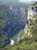 阿尔代什峡谷 - 石灰石悬崖俯瞰阿尔代什河