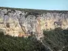 阿尔代什峡谷 - 石灰石悬崖和峡谷植被