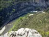 阿尔代什峡谷 - 阿尔代什河的视图内衬绿树和峡谷的岩石墙壁