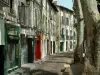 阿维尼翁 - Rue des Teinturiers的房子和树木