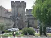 阿维尼翁 - 城墙与塔