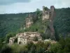 鹅毛笔 - 城堡（堡垒）的废墟栖息在岩石露头上，俯瞰村庄（Albigensian强化镇），树木和森林的房子
