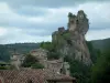 鹅毛笔 - 屋顶的房子在前景和城堡（堡垒）的废墟，栖息在岩石露头，俯瞰村庄（Albigensian强化镇），树木和森林，多云的天空的房子