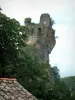 鹅毛笔 - 一个房子的屋顶城堡（堡垒）的前景，树和废墟的在岩石露出栖息