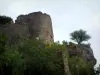 鹅毛笔 - 树木和城堡遗址（堡垒）