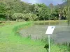 黑角 - 一个绿色设置的水产养殖公园池塘