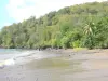 黑角 - 加勒比海滩排列着绿叶