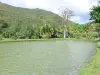 黑角 - 水产养殖公园的池塘在一个绿色环境里
