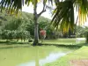 黑角 - 热带植被和水产养殖公园的池塘