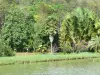 黑角 - 热带植被和水产养殖公园的池塘
