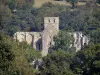 Abadía de Hambye - Abadía de la iglesia y su torre de planta cuadrada rodeada de árboles