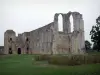 Abadía de Maillezais - Los restos de la abadía de Saint-Pierre: Ruinas de la iglesia de la abadía