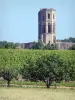 Abadía de La Sauve-Majeure - Torre gótica de la abadía con vistas a un exuberante paisaje