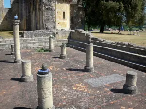 Abadía de La Sauve-Majeure - Las columnas de la sala capitular