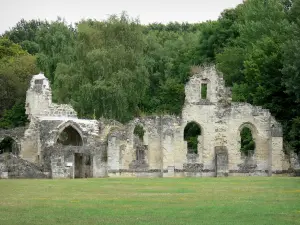 Abadía de Vauclair - Los restos mortales (ruinas) de la antigua abadía cisterciense, y Vauclair bosque los árboles; en la ciudad-Vauclair Bouconville
