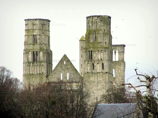 Abbaye de Jumièges - Ruines de l'église Notre-Dame, arbres et ciel nuageux, dans le Parc Naturel Régional des Boucles de la Seine Normande