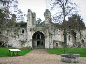 Abbaye de Jumièges - Puits et ruines de l'abbaye, dans le Parc Naturel Régional des Boucles de la Seine Normande
