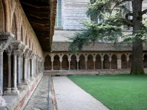 Abbaye de Moissac - Abbaye Saint-Pierre de Moissac : cloître roman et son cèdre