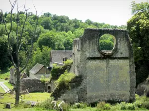 Abbaye de Mortemer - Ruines de l'église abbatiale (vestiges de l'abbaye cistercienne) dans un cadre de verdure ; sur la commune de Lisors