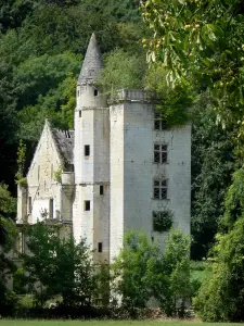 Abbaye de Saint-Nicolas-aux-Bois - Vestiges de l'ancienne abbaye bénédictine dans un cadre de verdure